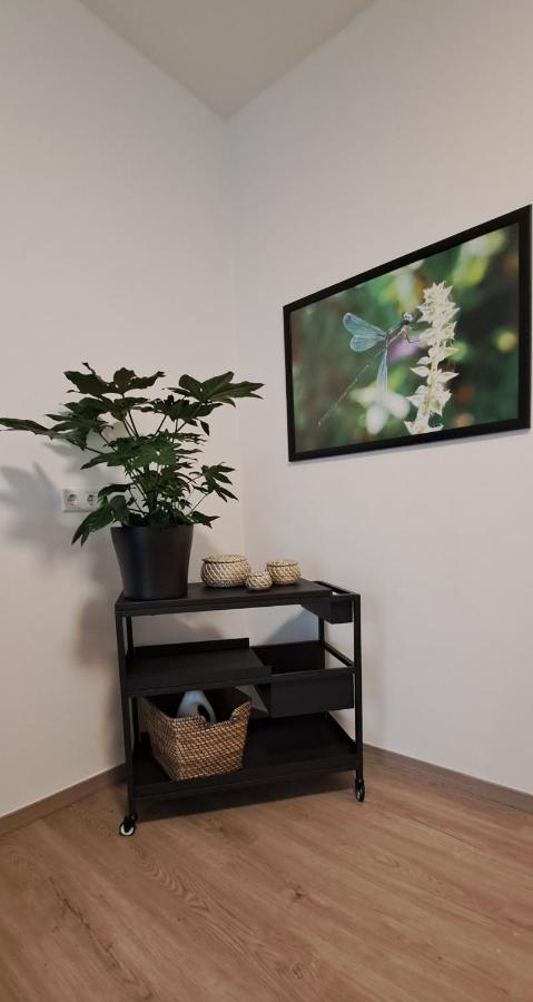 Waldstadt-Apartments Изерлон Экстерьер фото