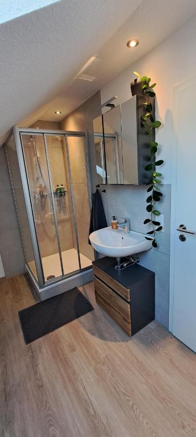 Waldstadt-Apartments Изерлон Экстерьер фото