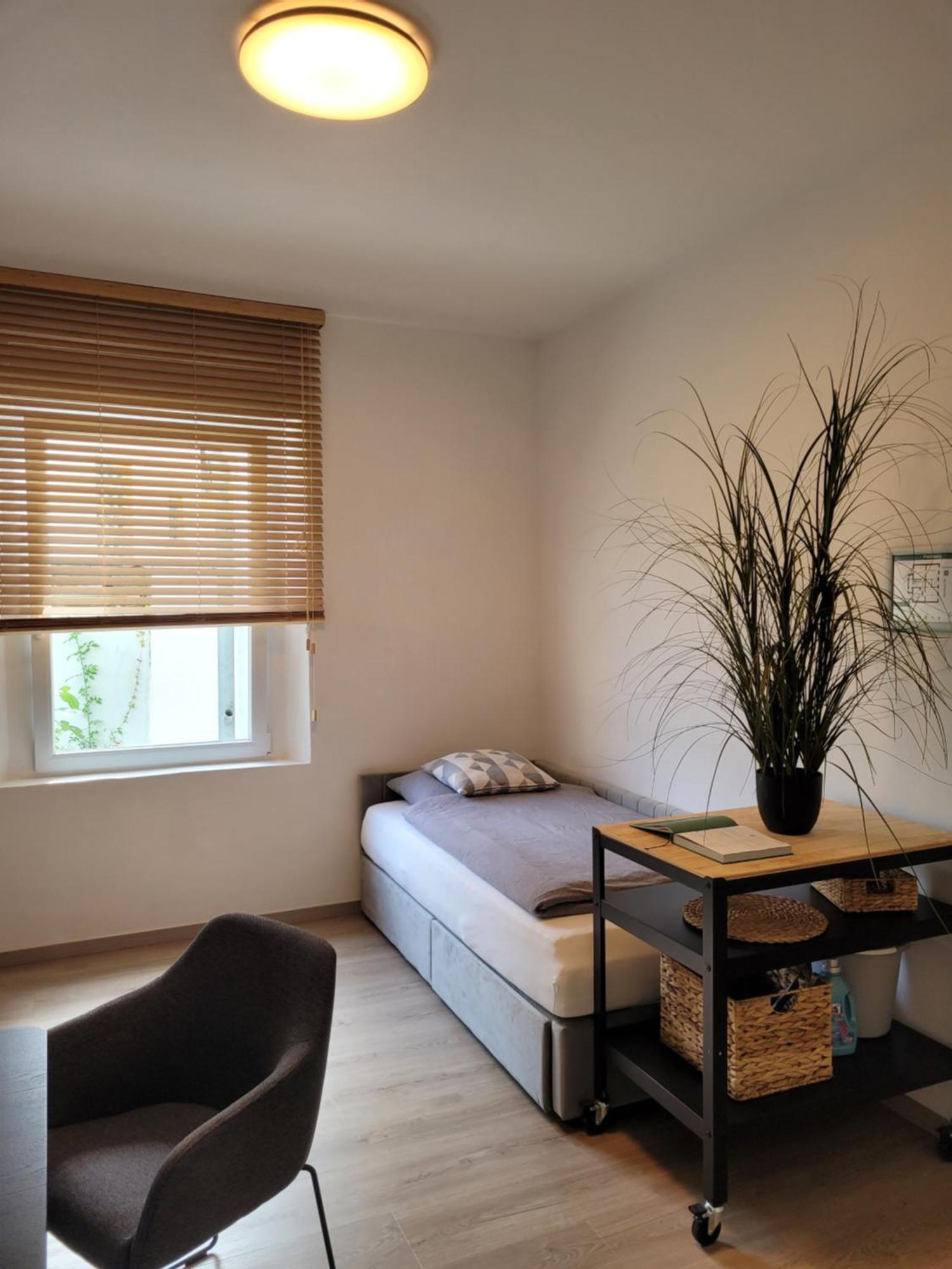 Waldstadt-Apartments Изерлон Экстерьер фото